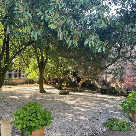 Apartament Annexe Du Pont De La Charente Châteauneuf-sur-Charente Zewnętrze zdjęcie