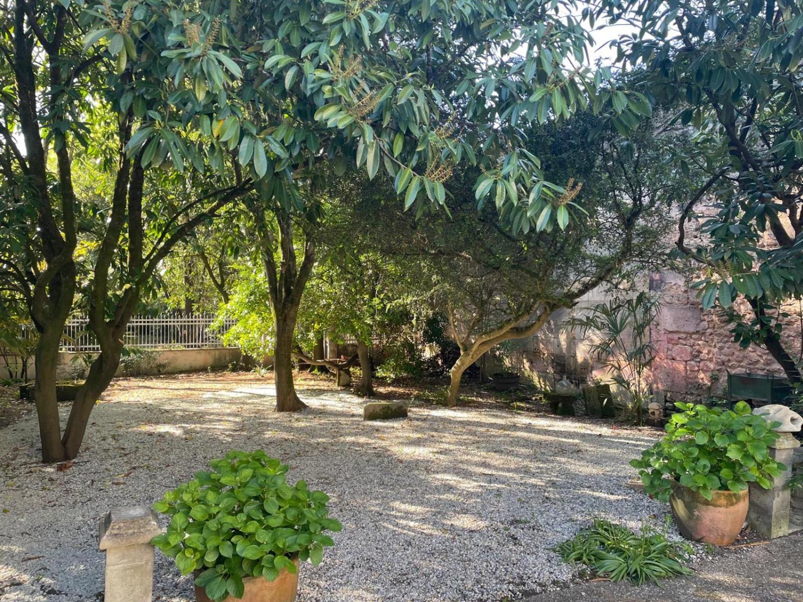 Apartament Annexe Du Pont De La Charente Châteauneuf-sur-Charente Zewnętrze zdjęcie