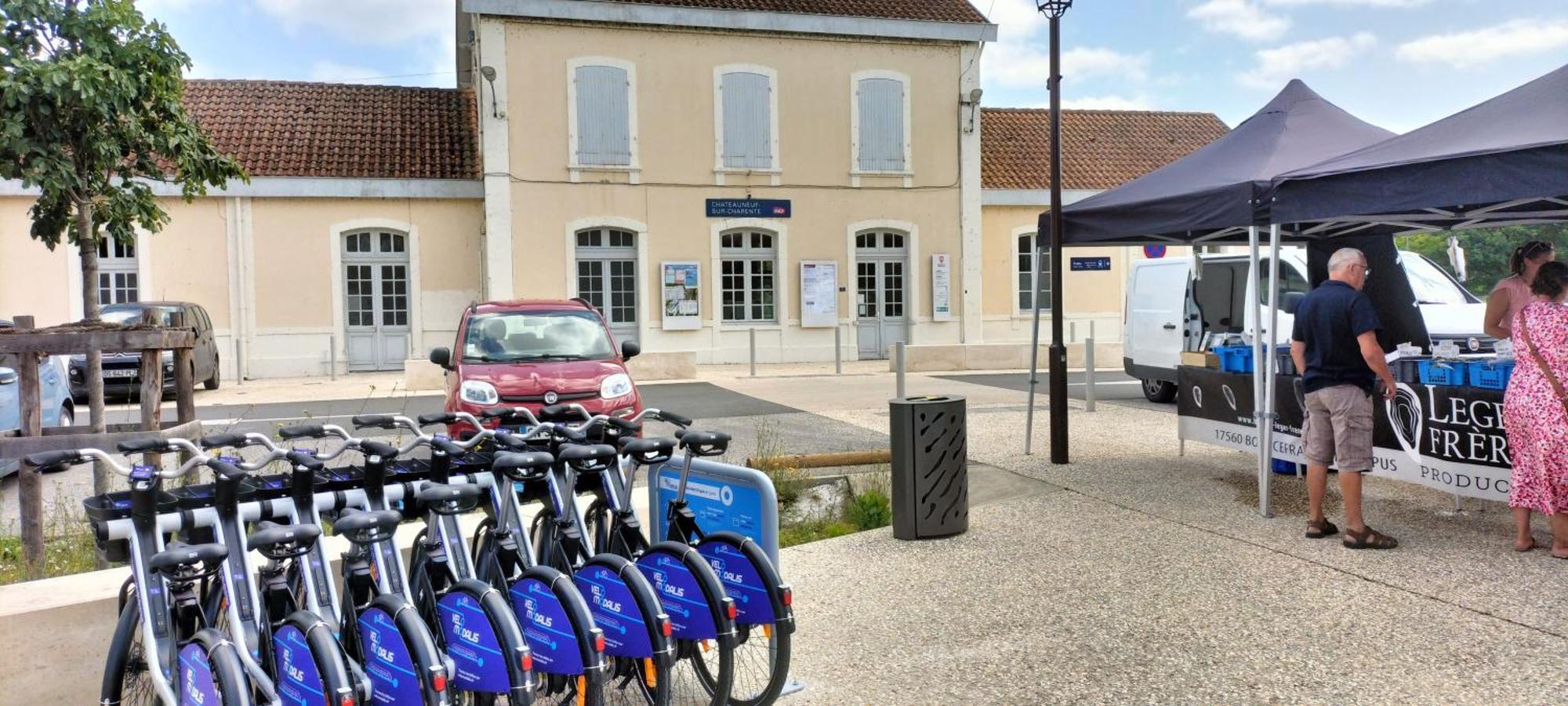Apartament Annexe Du Pont De La Charente Châteauneuf-sur-Charente Zewnętrze zdjęcie